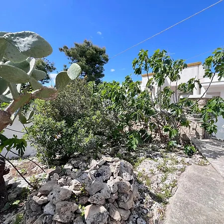 Trulli Malaspina Puglia On Line